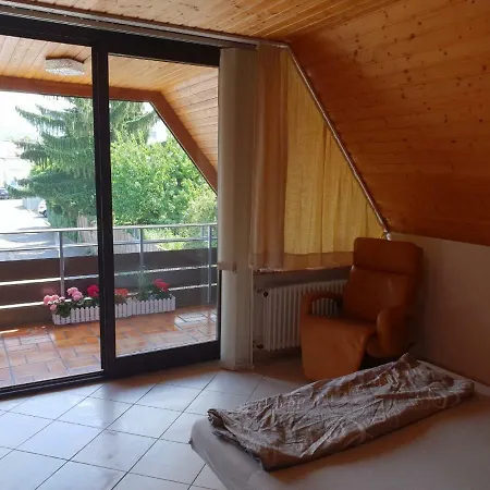 Heidelberg Apartment Хайдельберг